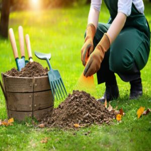 Raking and Mulching Techniques