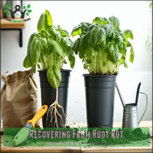 Recovering From Root Rot