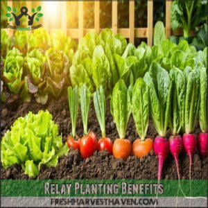 Relay Planting Benefits