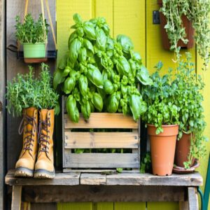 Repurposed Planters and Upcycled Materials