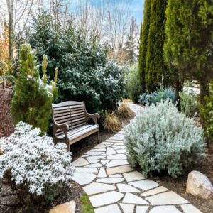 Selecting The Right Plants for Your Zone