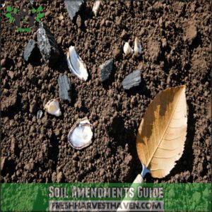 Soil Amendments Guide