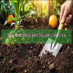 Soil Drainage and Organic Matter