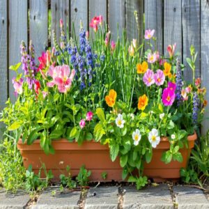 Spring Flower Garden Basics