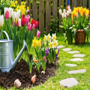 spring flower planting tips