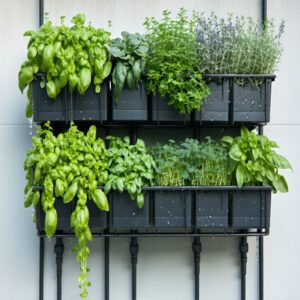 Vertical Herb Gardens With Drip Watering Systems