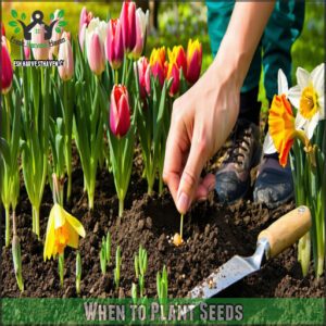 When to Plant Seeds