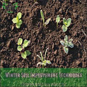 Winter Soil Improvement Techniques