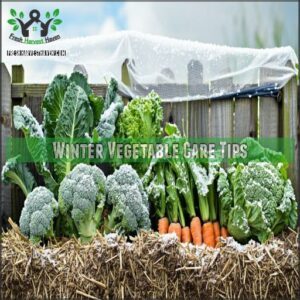 Winter Vegetable Care Tips