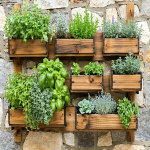 Wooden Vertical Gardens and Planter Walls