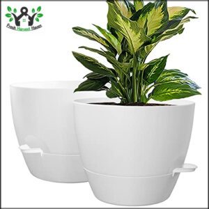 WOUSIWER 10 inch Self Watering