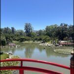arafed bridge over a pond with a red railing and a red bench