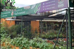Aspen Grow Shop