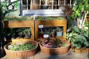 Atelier Botánico