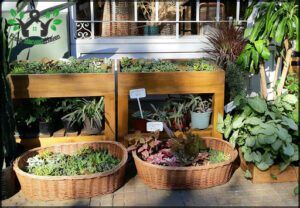 Atelier Botánico