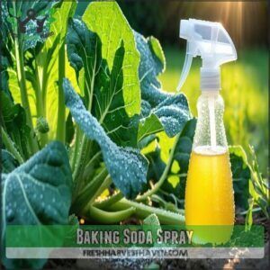 Baking Soda Spray