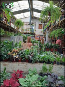 Boedo Garden