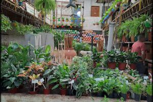 Boedo Garden