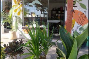 Buenas Raices Plantas