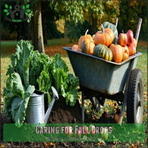 Caring for Fall Crops