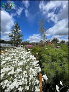 Chacra Jardín de Campo