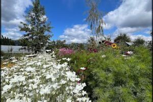Chacra Jardín de Campo