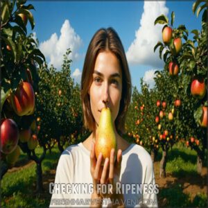 Checking for Ripeness