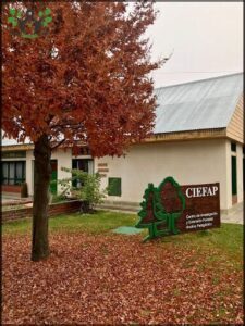 CIEFAP - Centro de Investigación y Extensión Forestal Andino Patagónico