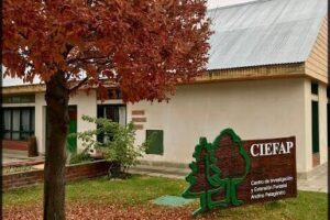 CIEFAP - Centro de Investigación y Extensión Forestal Andino Patagónico