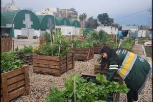 Cooperativa Recuperadores Urbanos del Oeste