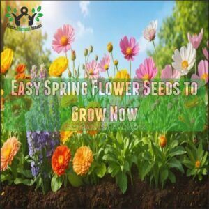 easy spring flower seeds to grow