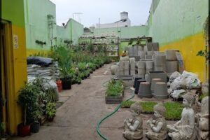 El Viverito Pueyrredon