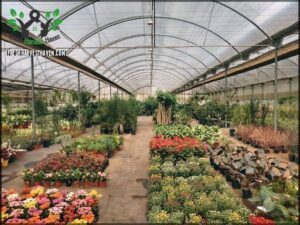 Escuela De Jardinería