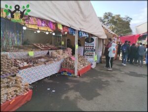 Fiesta Nacional e Internacional Del Poncho