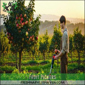 Fruit Pickers