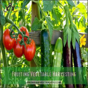 Fruiting Vegetable Harvesting