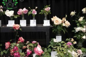 HORTICULTURE SOCIETY ARGENTINA