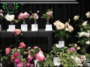 HORTICULTURE SOCIETY ARGENTINA