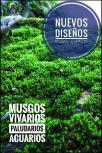 IMAGO micropaisajismo
