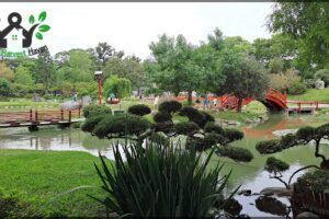 Jardín Japonés