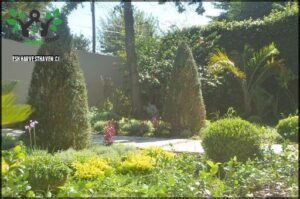Landscape and Vertical gardens