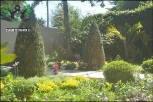 Landscape and Vertical gardens