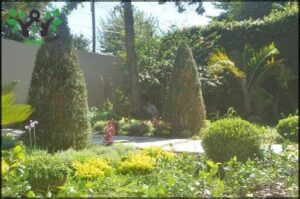 Landscape and Vertical gardens
