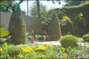 Landscape and Vertical gardens