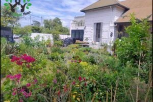 Naturaleza urbana deco garden