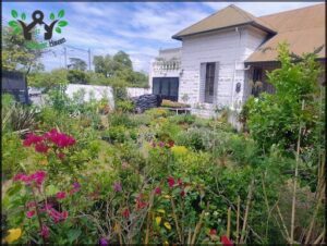 Naturaleza urbana deco garden