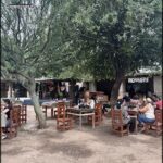 people sitting at tables under a tree in a courtyard