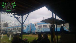 people sitting under a covered area with a train in the background