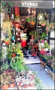 Plants Nursery Al Natural