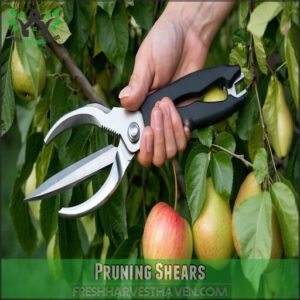 Pruning Shears